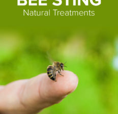 Bee sting treatment - Dr. Axe