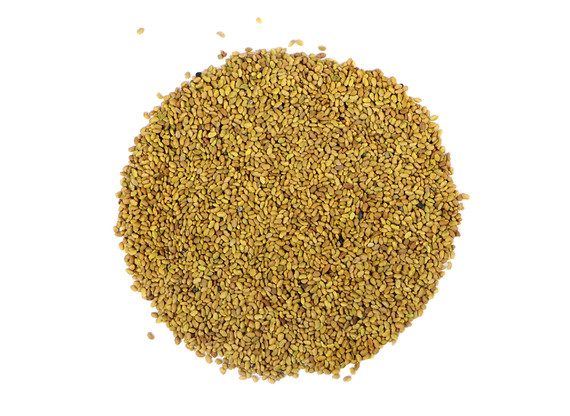 Organic Alfalfa Sprouting Seeds Whole