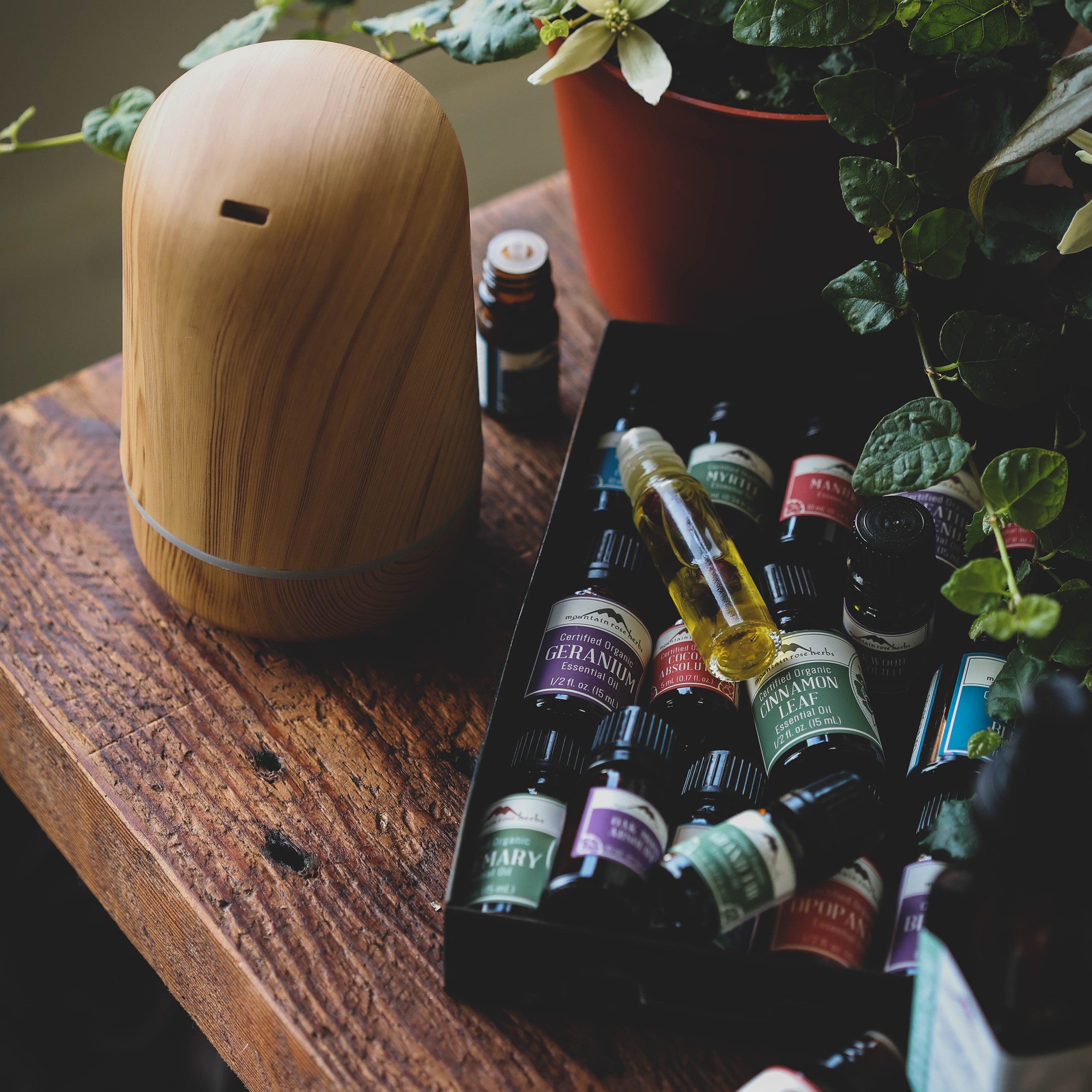 Essential Oils & Diffusers