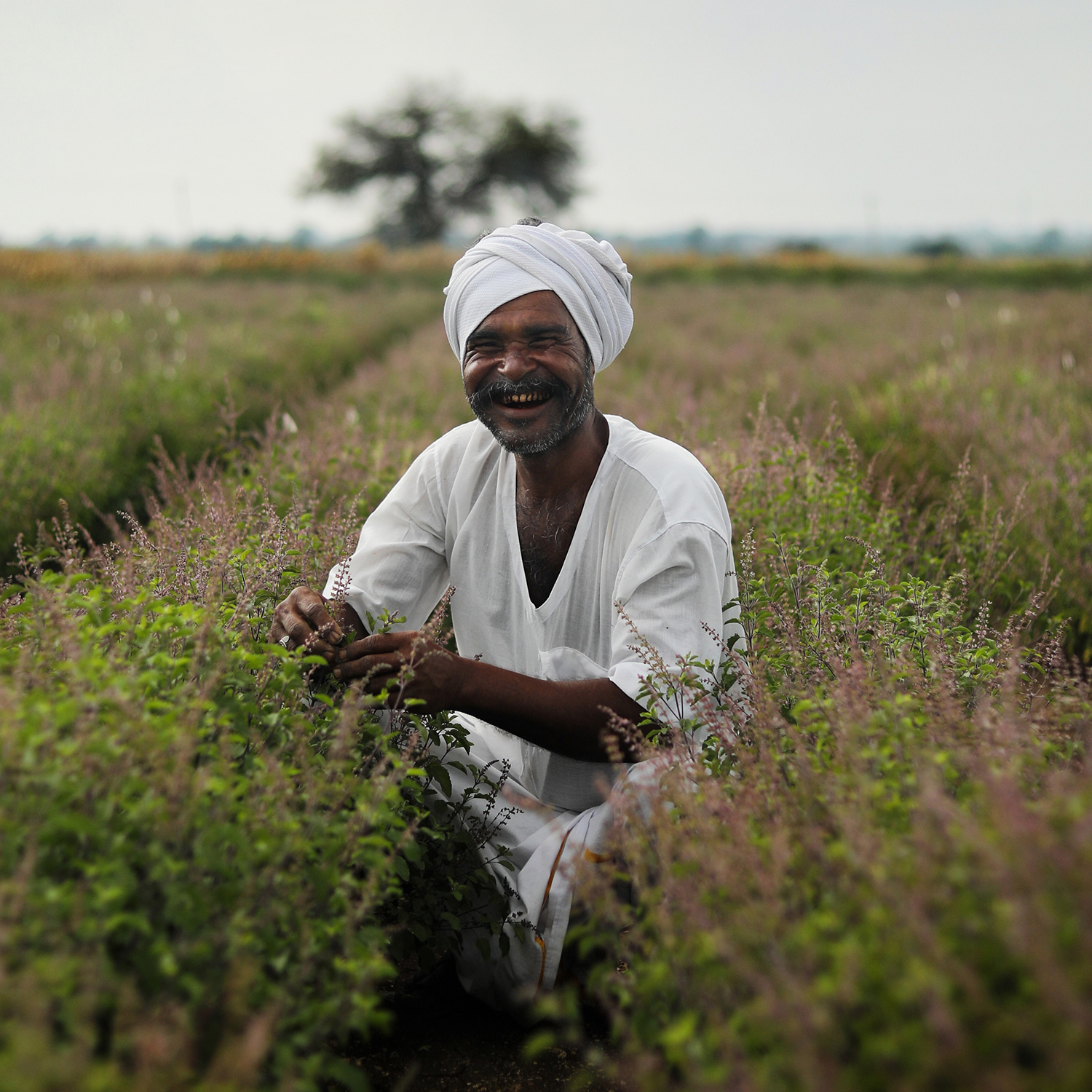 Image of Fair Trade farmer in India