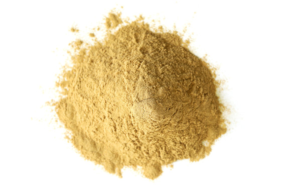 Maitake Extract Powder