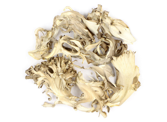 Organic Maitake Mushroom