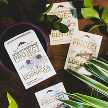 Explore our free seed offerings