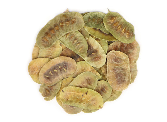 Organic Senna Pods